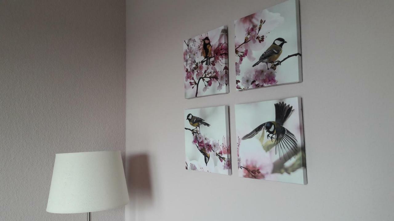 Ferienwohnung Sayntalblick Caan ภายนอก รูปภาพ